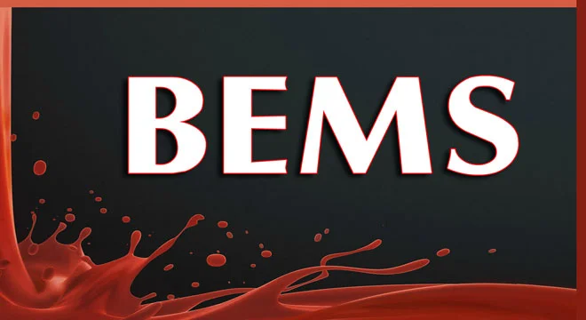 B.E.M.S