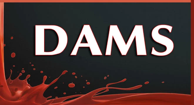 DAMS